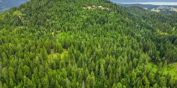 Image 3: 3_dji_0314