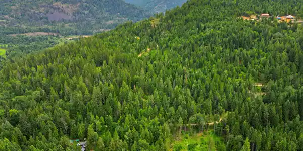Image 4: 4_dji_0263