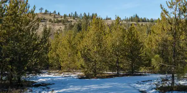 NKA Lot 3 Hoo Doo Loop Rd