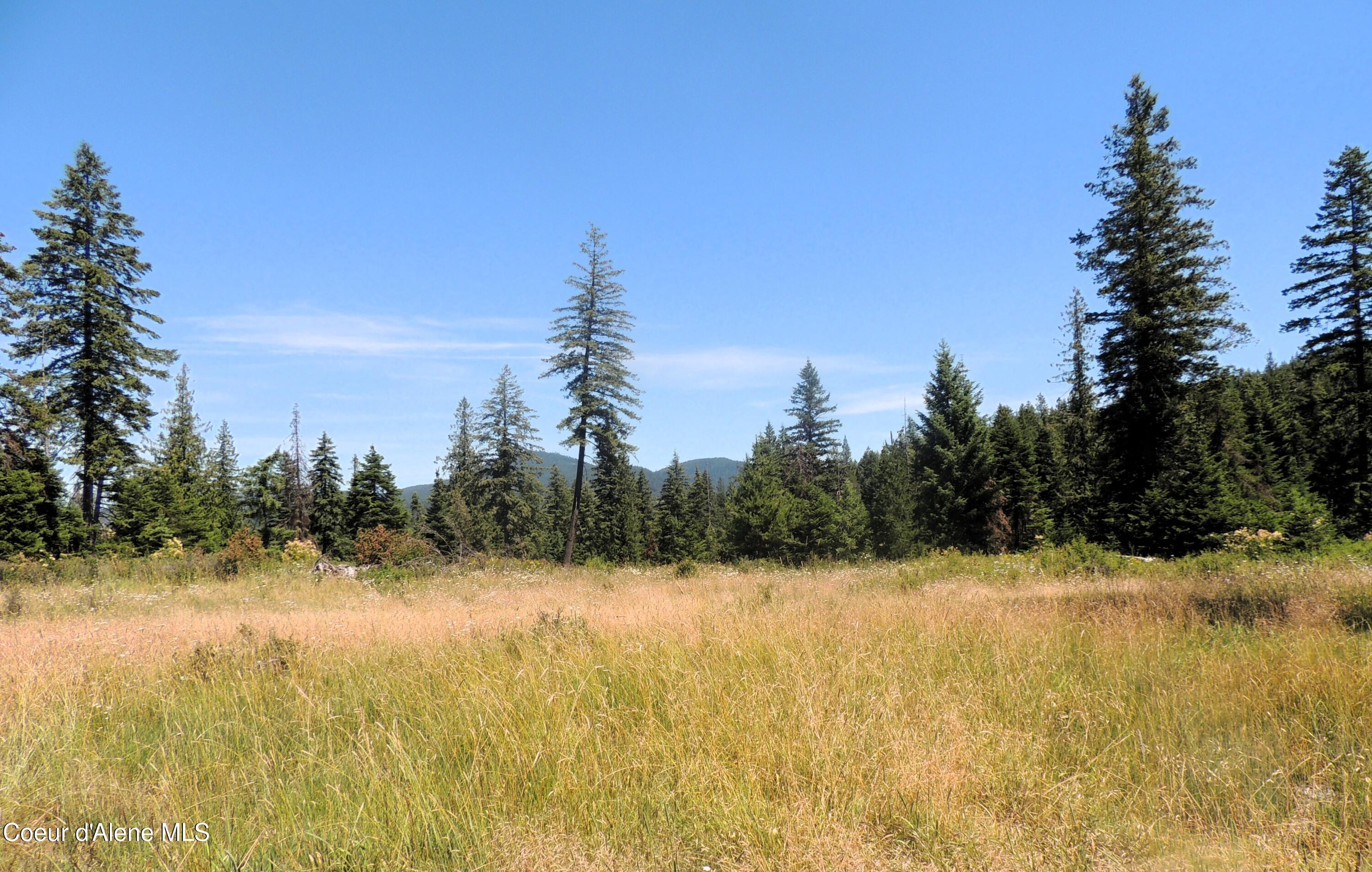 Image 1: Open and treed