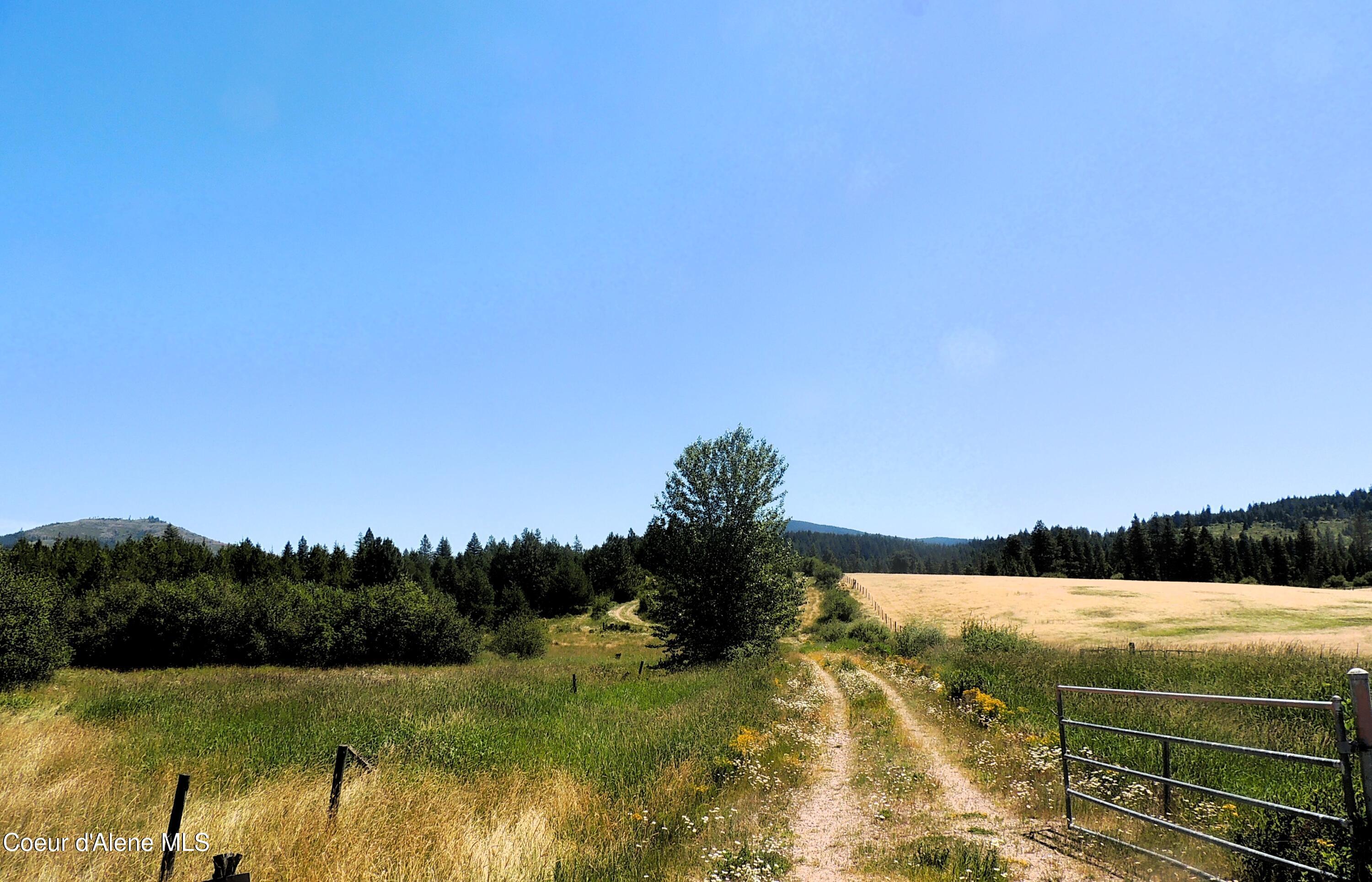 Image 2: Driveway