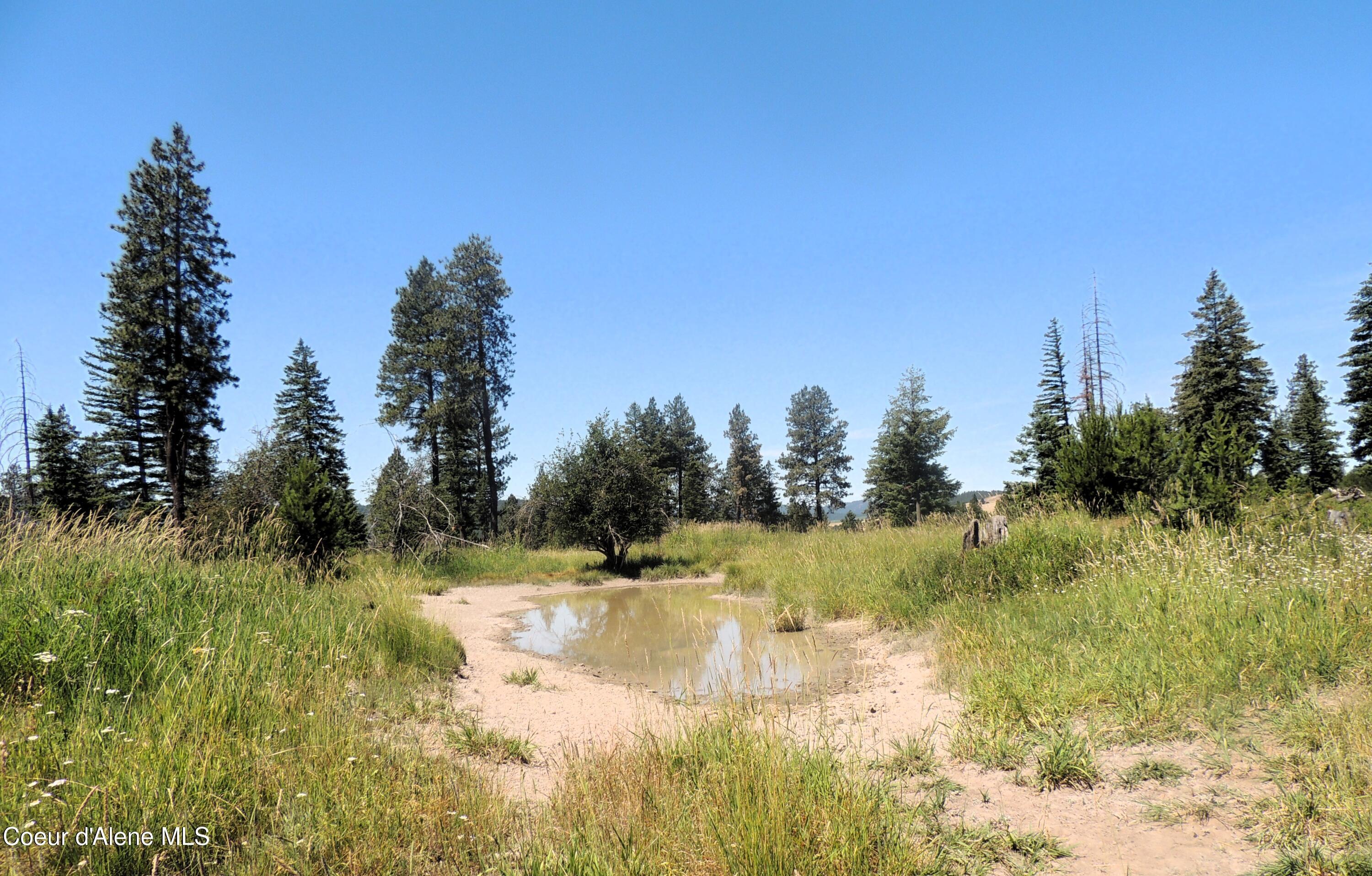 Image 4: one pond