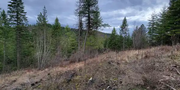 Image 4: 4