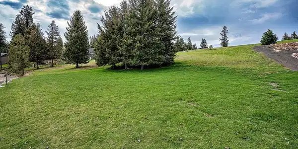 Image 2: Grassy lot