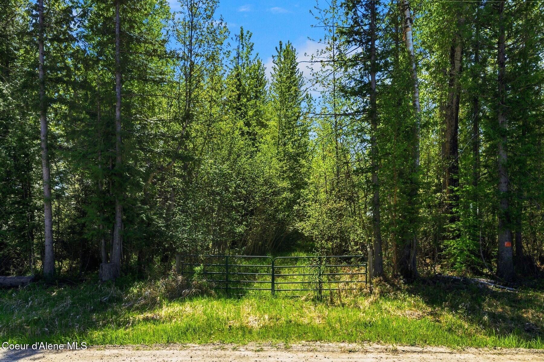 Image 1: KFM01703