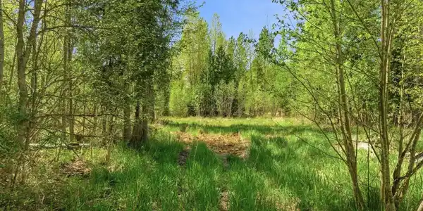 Image 3: 3_KFM01713