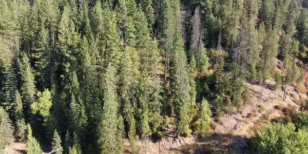 Image 3: Aerial