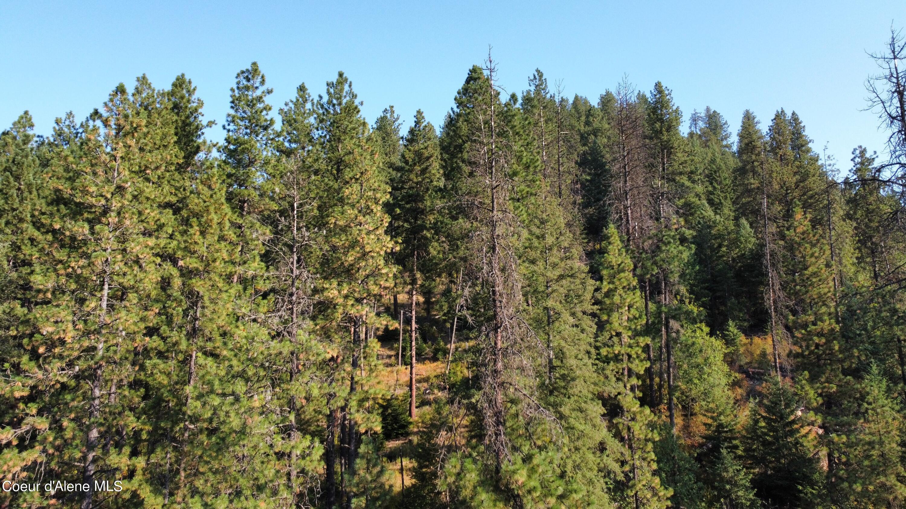 Image 4: dji_fly_20240822_083536_490_172434113192