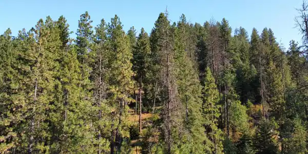 Image 4: dji_fly_20240822_083536_490_172434113192