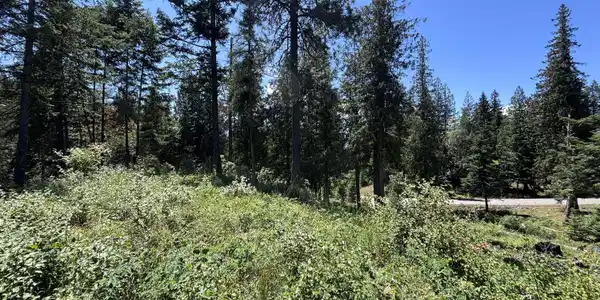 Image 3: Ground Looking South