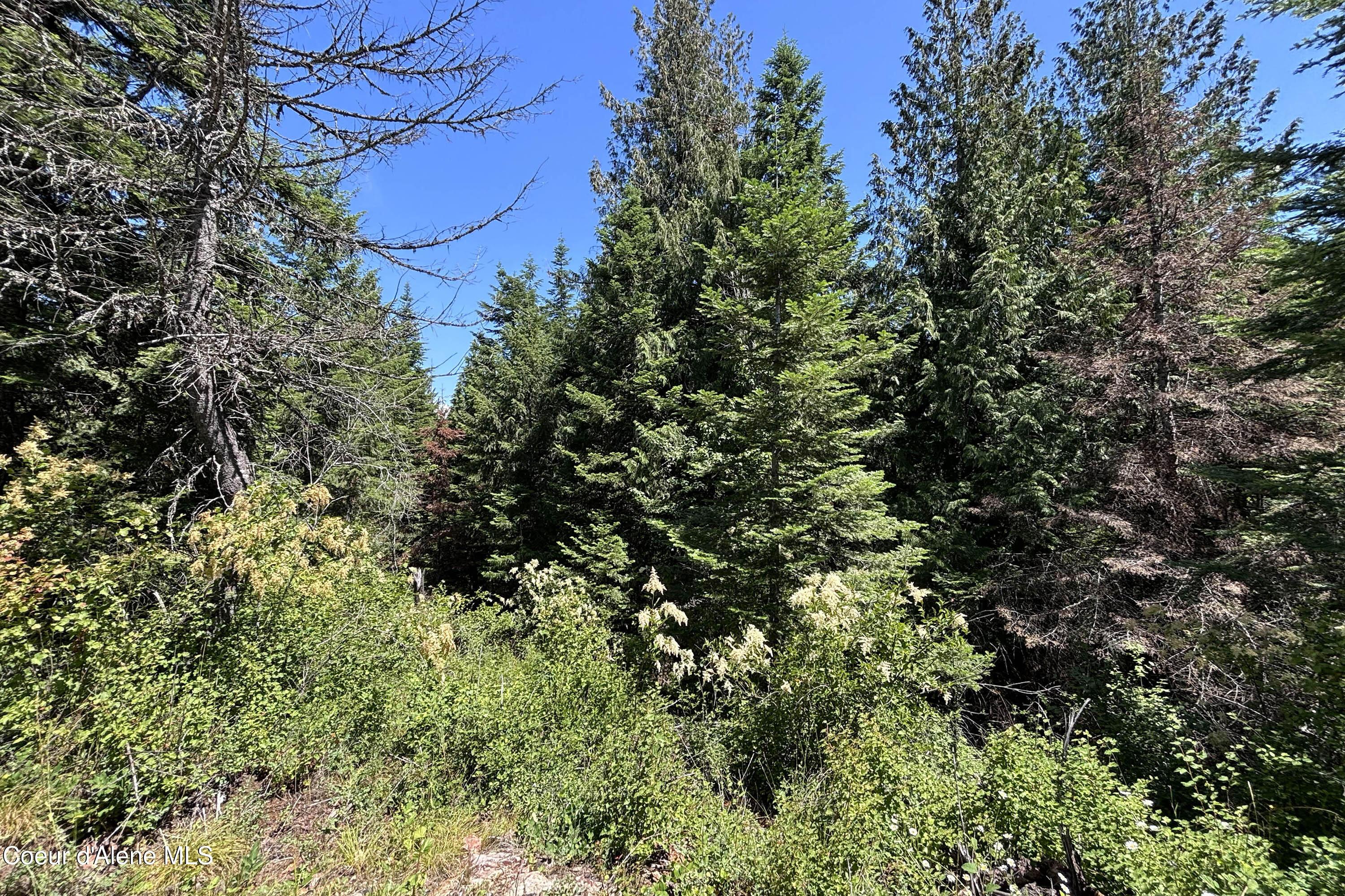 Image 4: Ground Looking North