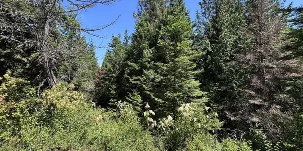 Image 4: Ground Looking North