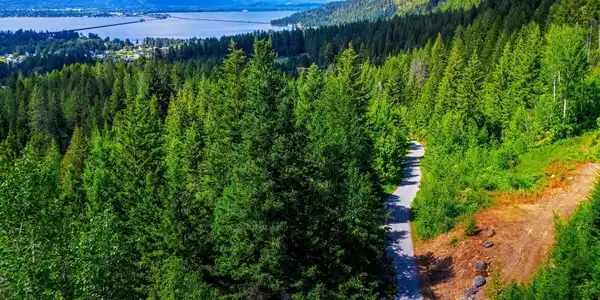 Image 3: A True North Idaho Gem
