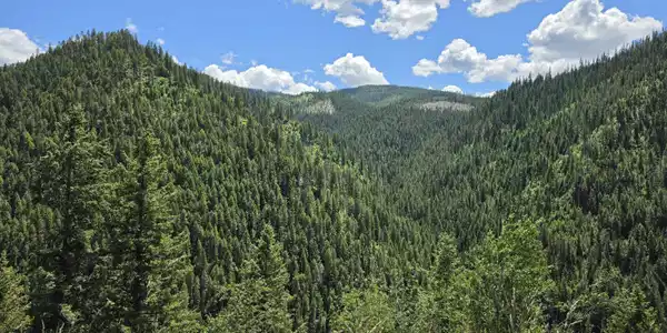 Image 3: View