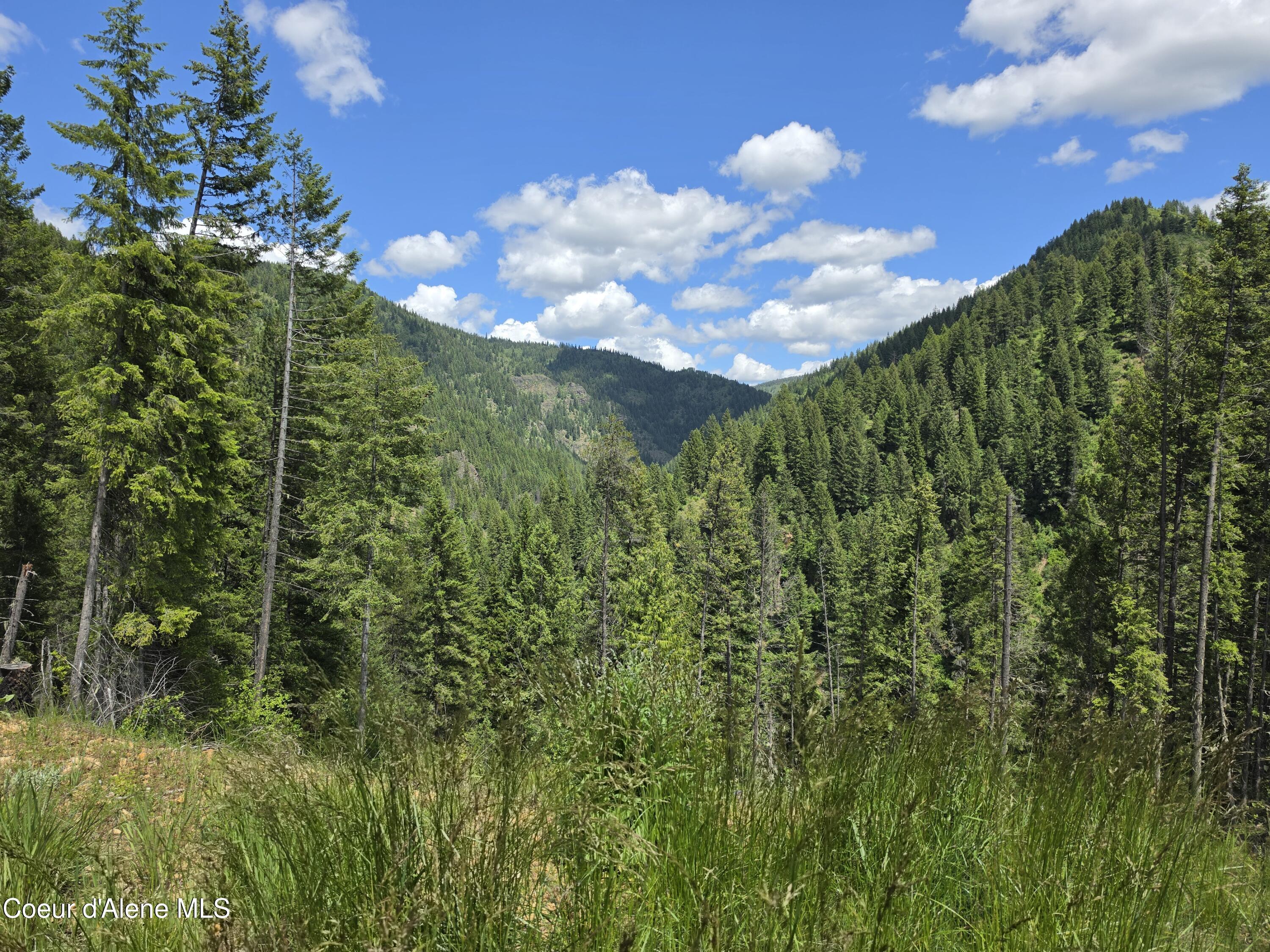Image 4: View