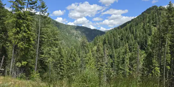 Image 4: View