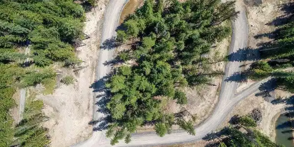 Image 2: The Woods