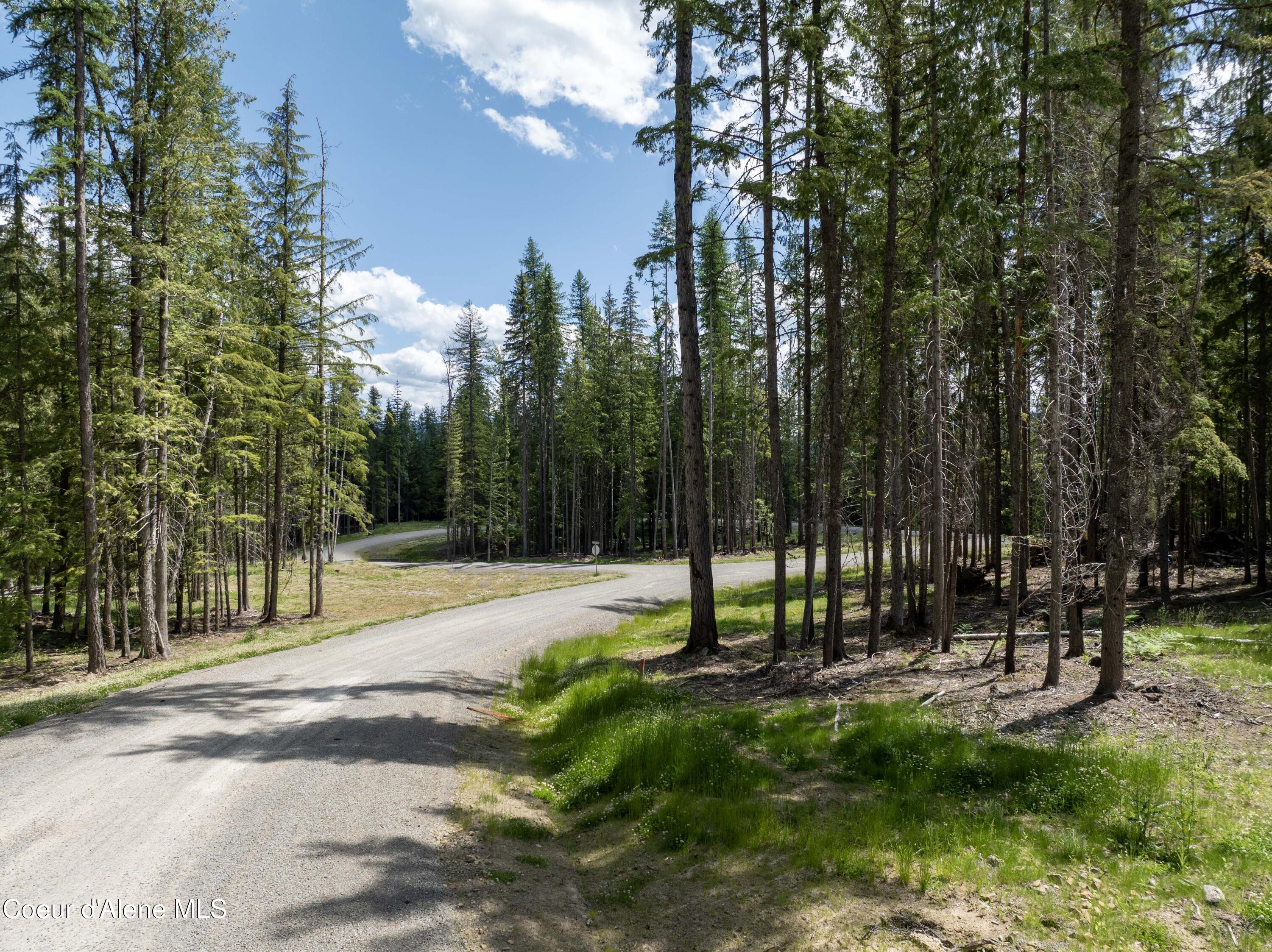 Image 4: Beautiful Road