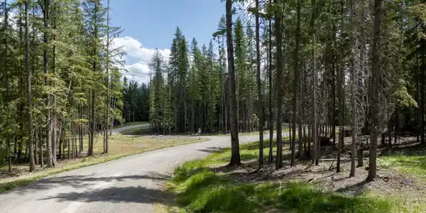 Image 4: Beautiful Road