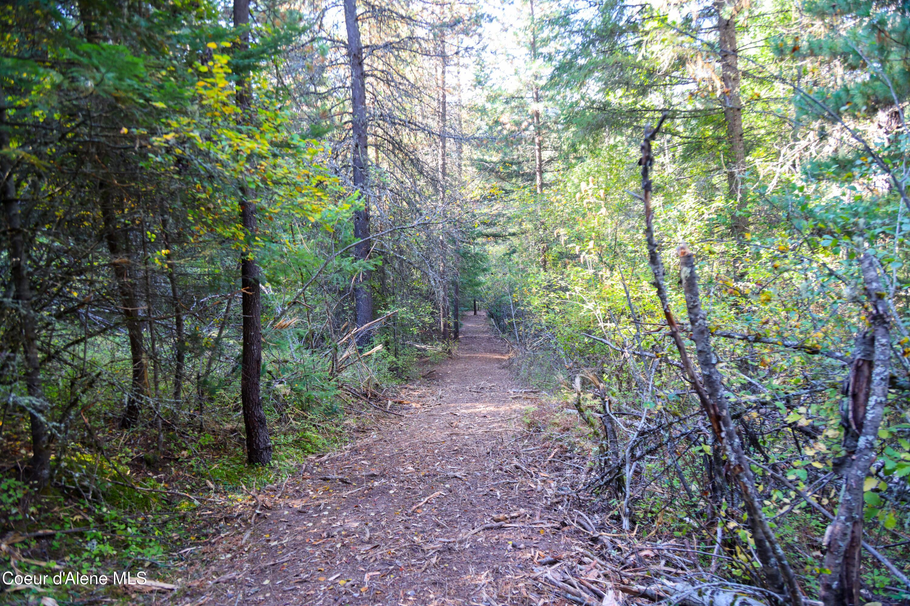 Image 2: 2