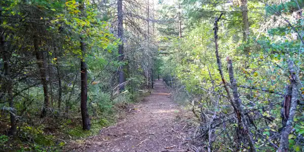 Image 2: 2