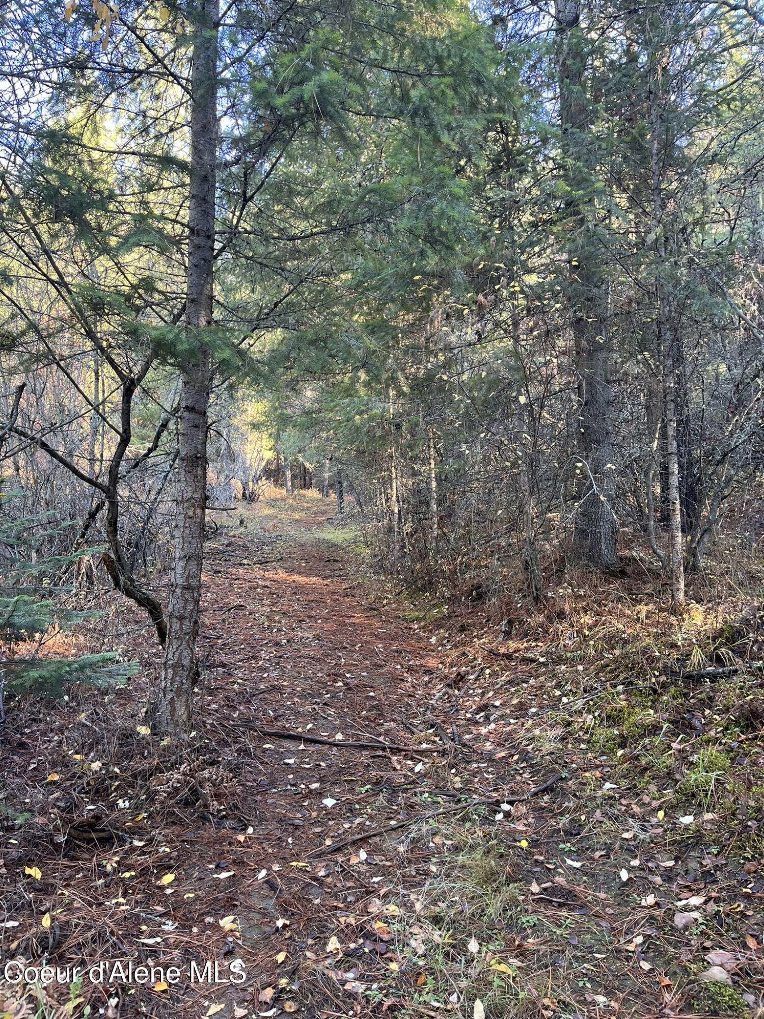 Image 3: 3