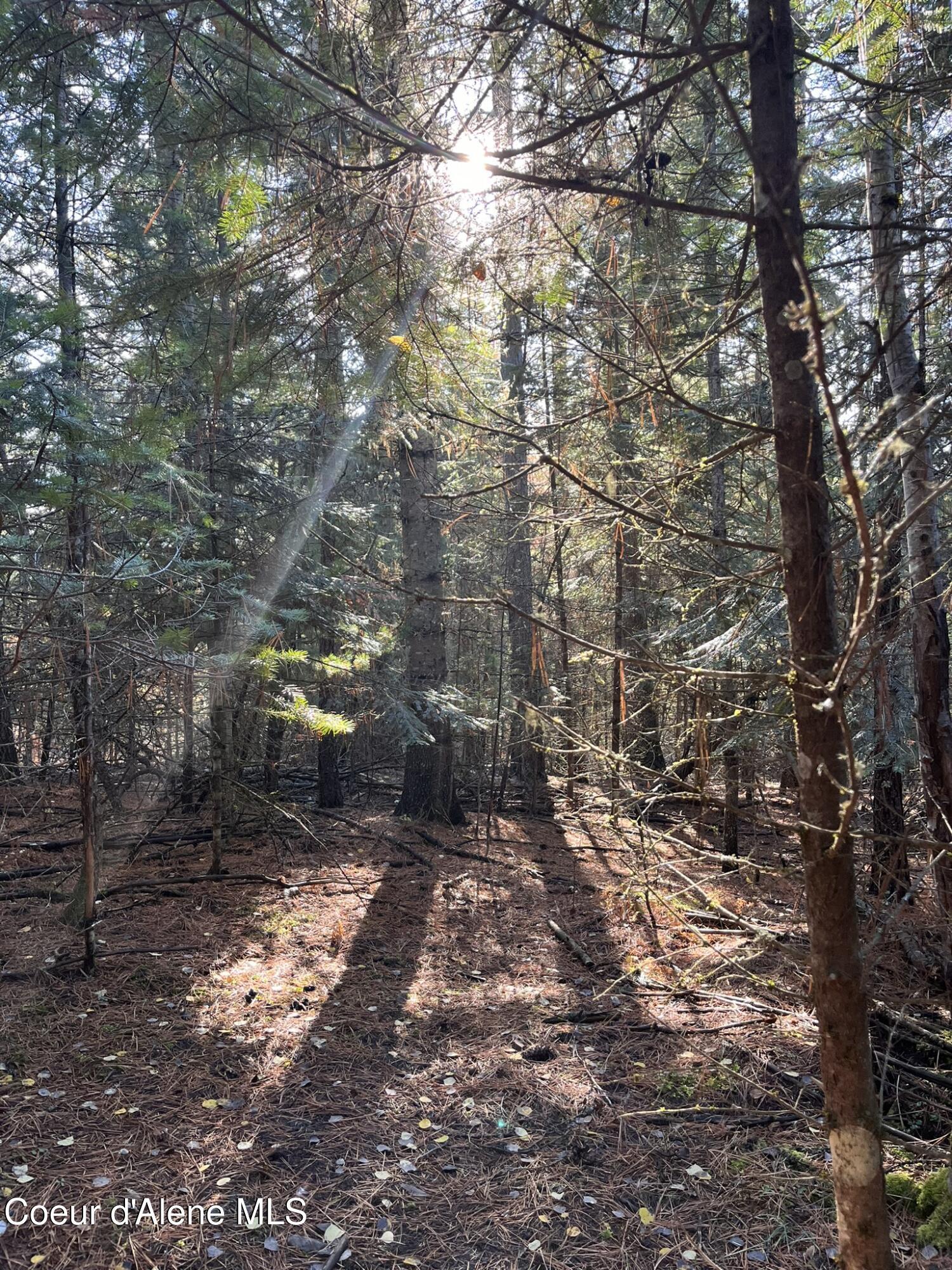 Image 4: 4