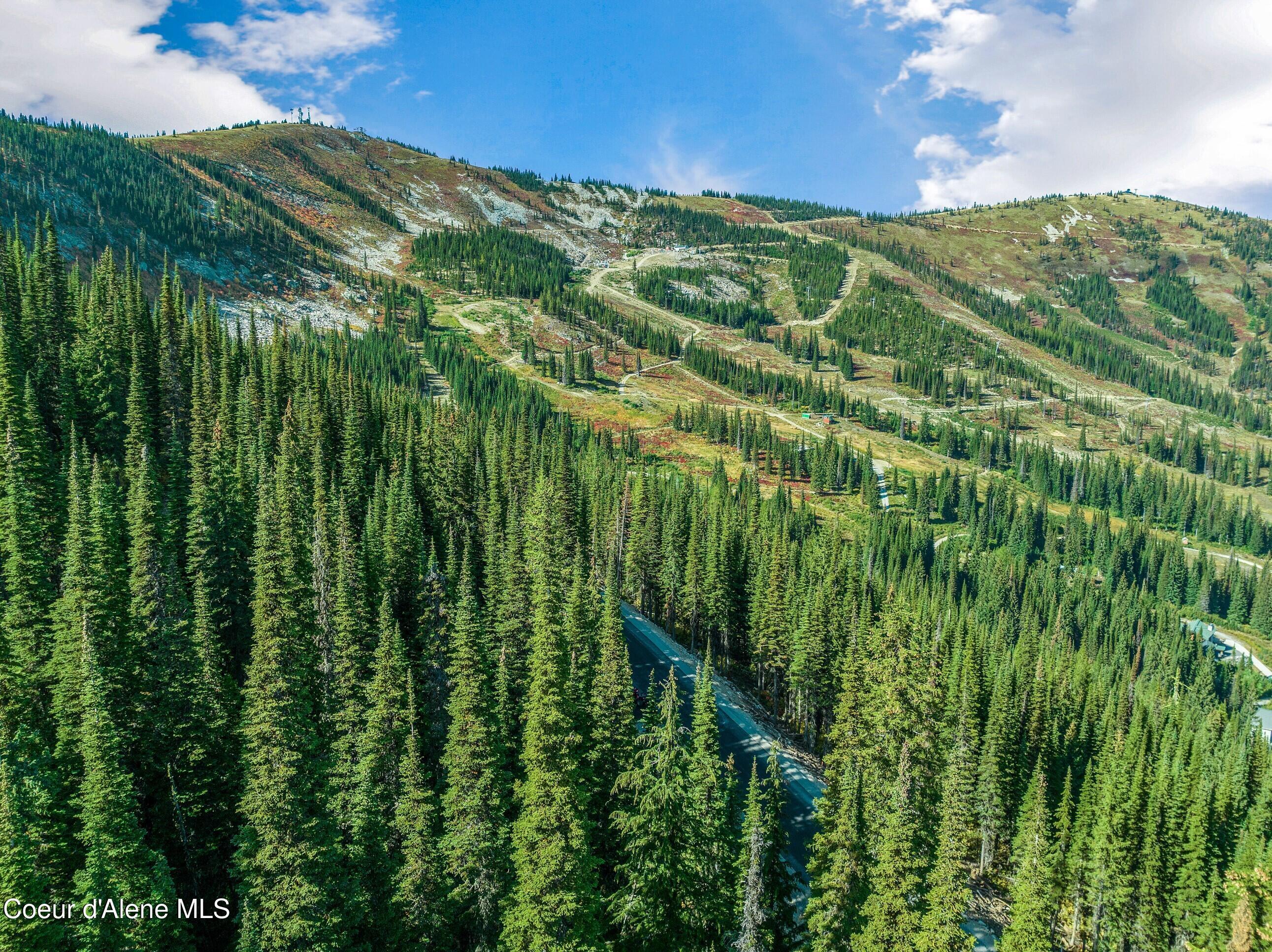 Image 4: Summer Scenery