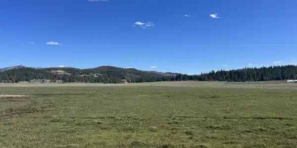 Image 4: Property View
