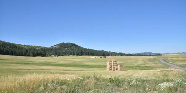 LOT 9 Pebblestone Dr