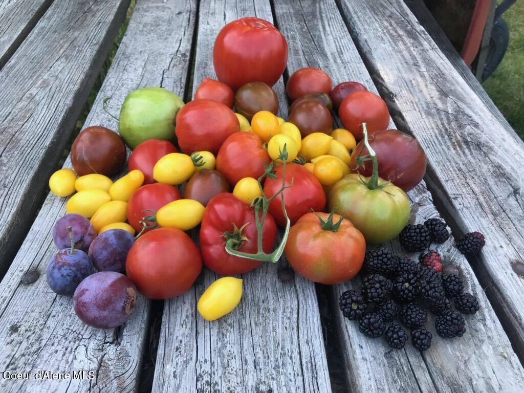 Image 1: garden harvest 2019