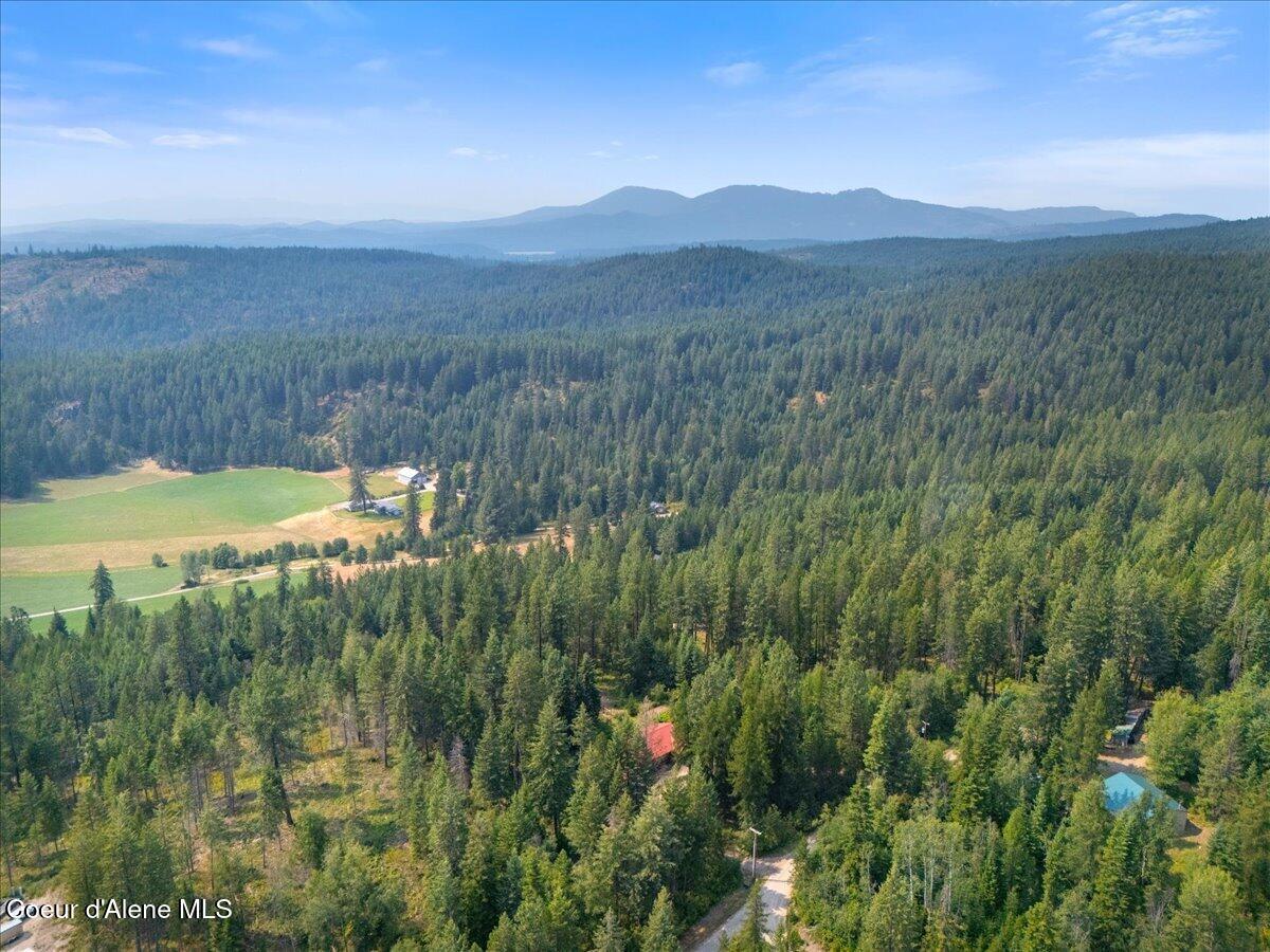 Image 3: 03-1040 Salee Creek Rd_RedHogMedia