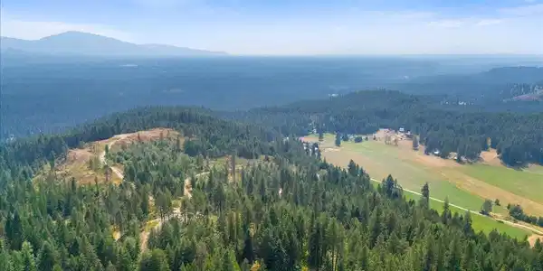 Image 4: 04-1040 Salee Creek Rd_RedHogMedia