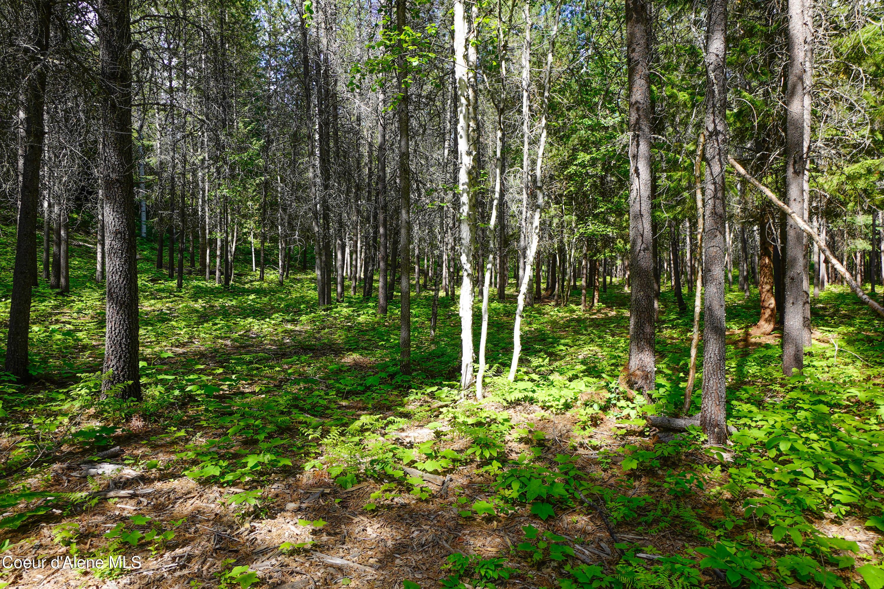 Image 4: _DSC9759