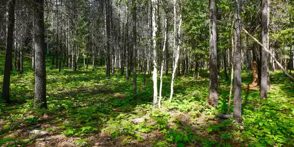 Image 4: _DSC9759