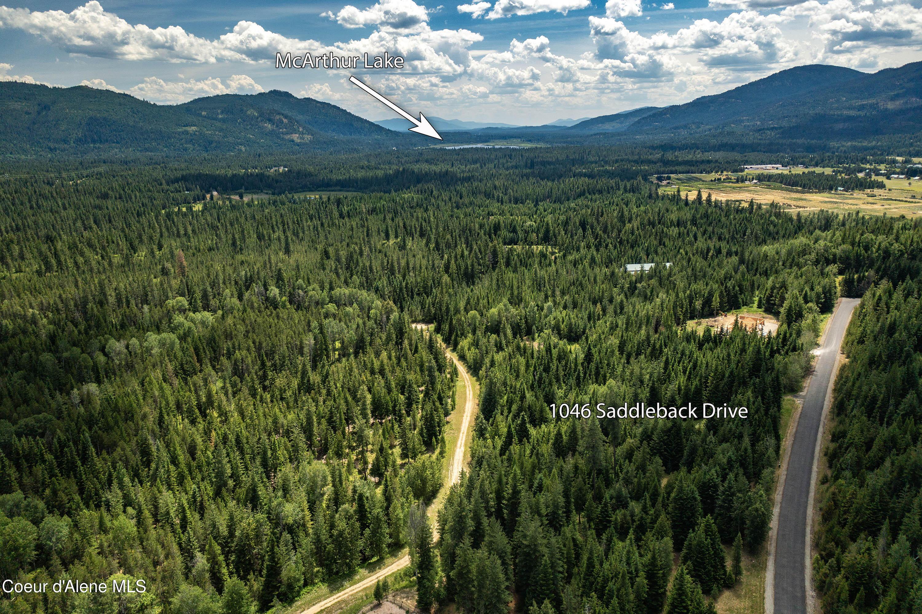 Image 4: View to McArthur lake