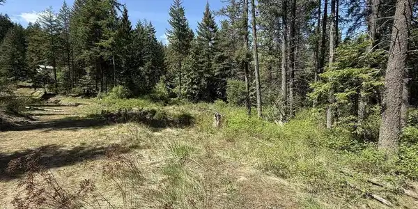 Image 3: 1