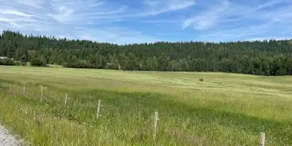 Image 4: Pasture area