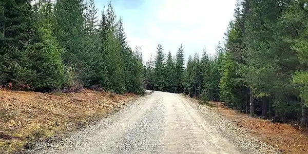 Image 3: Rising Hawk Ridge Rd