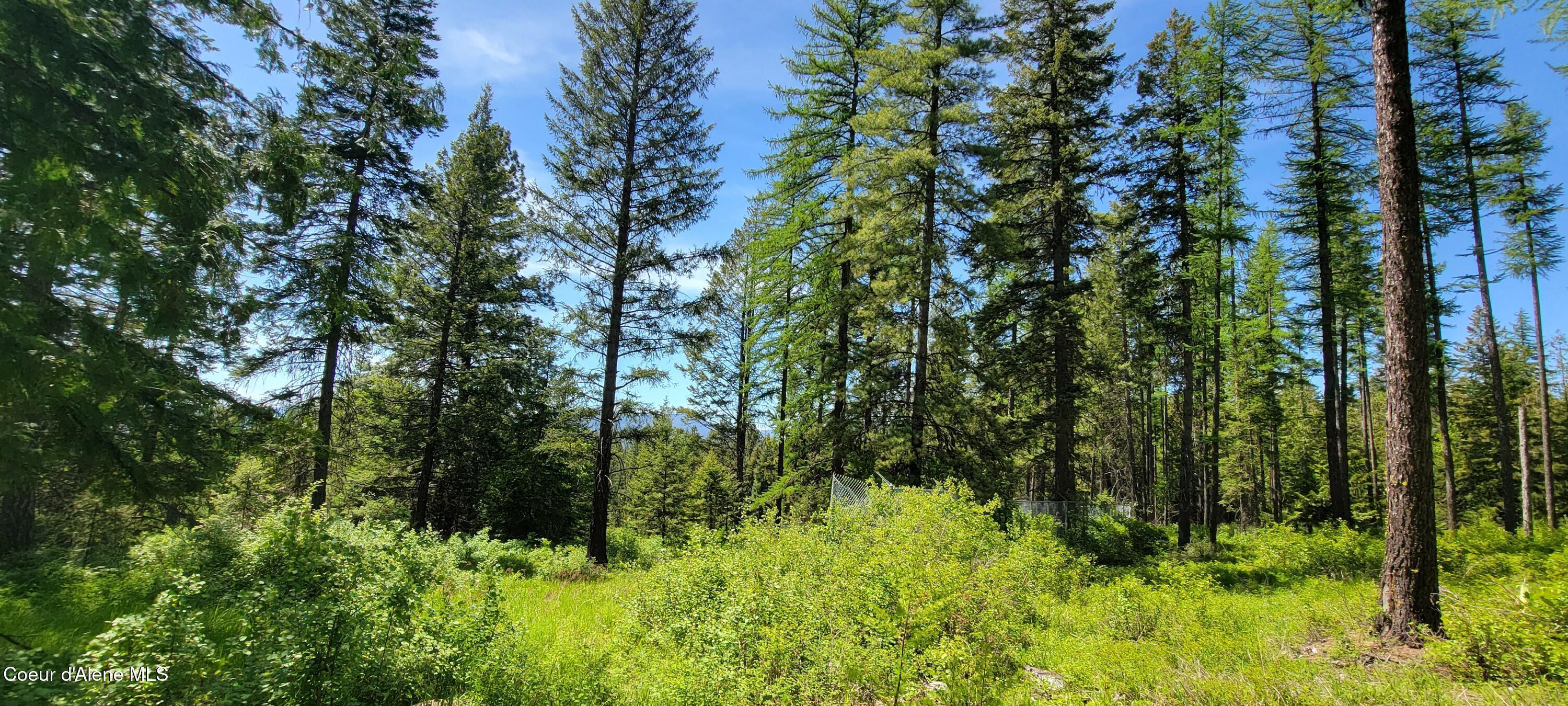 Image 4: 20250527_135314