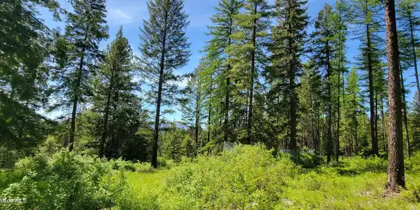 Image 4: 20250527_135314