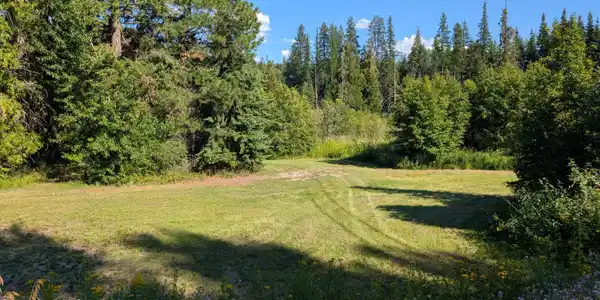 Image 2: Deep Creek Loop Tract 2 pic 15