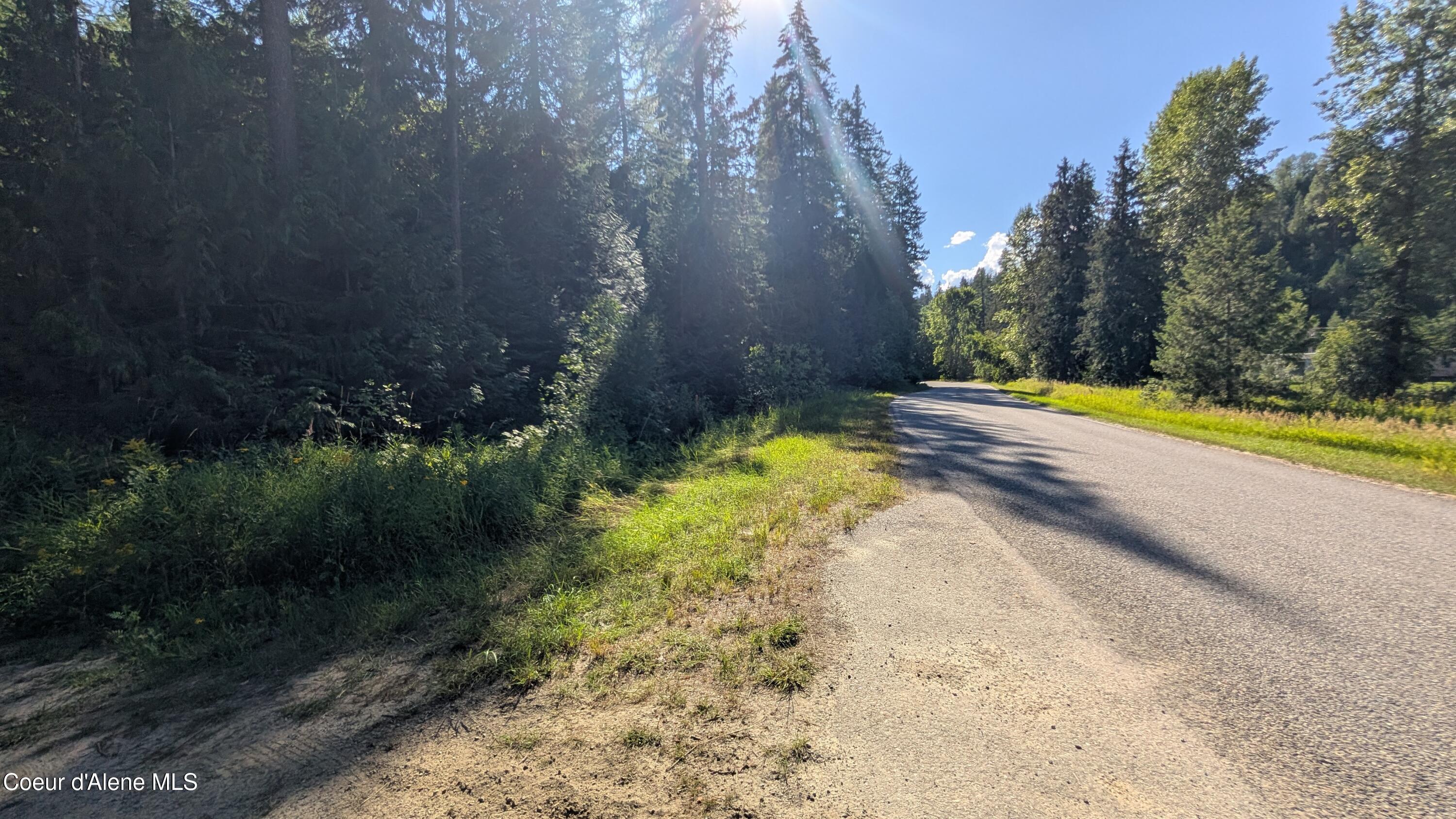 Image 4: Deep Creek Loop Tract 2 pic 14