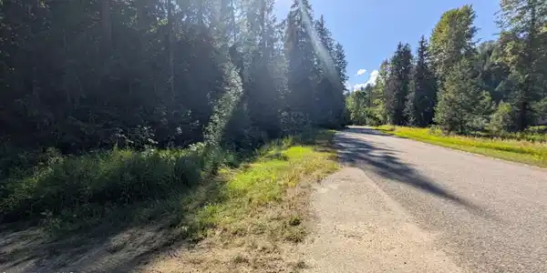 Image 4: Deep Creek Loop Tract 2 pic 14