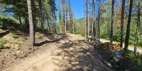 Image 3: 20260710_133132