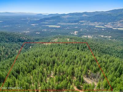 NNA USFS 2550 (40 acres)