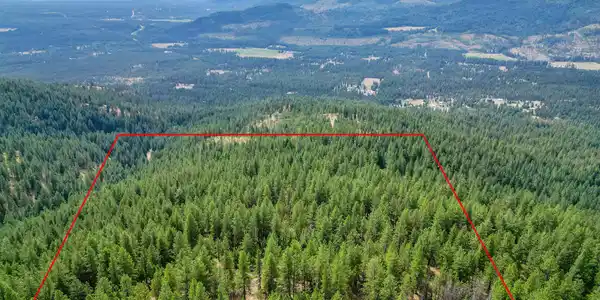 NNA USFS 2550 (40 acres)