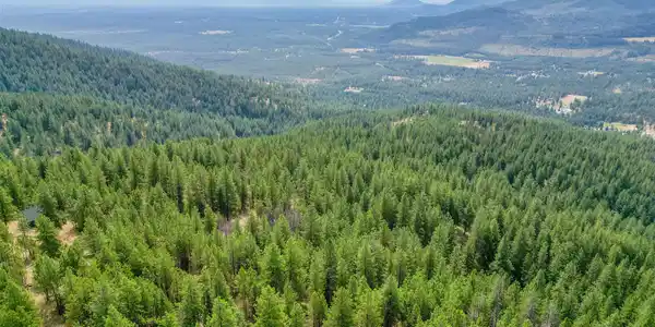Image 2: 2_dji_0846_1