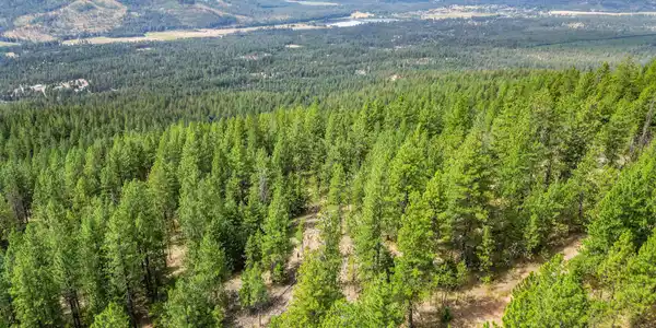 Image 4: 15_dji_0860
