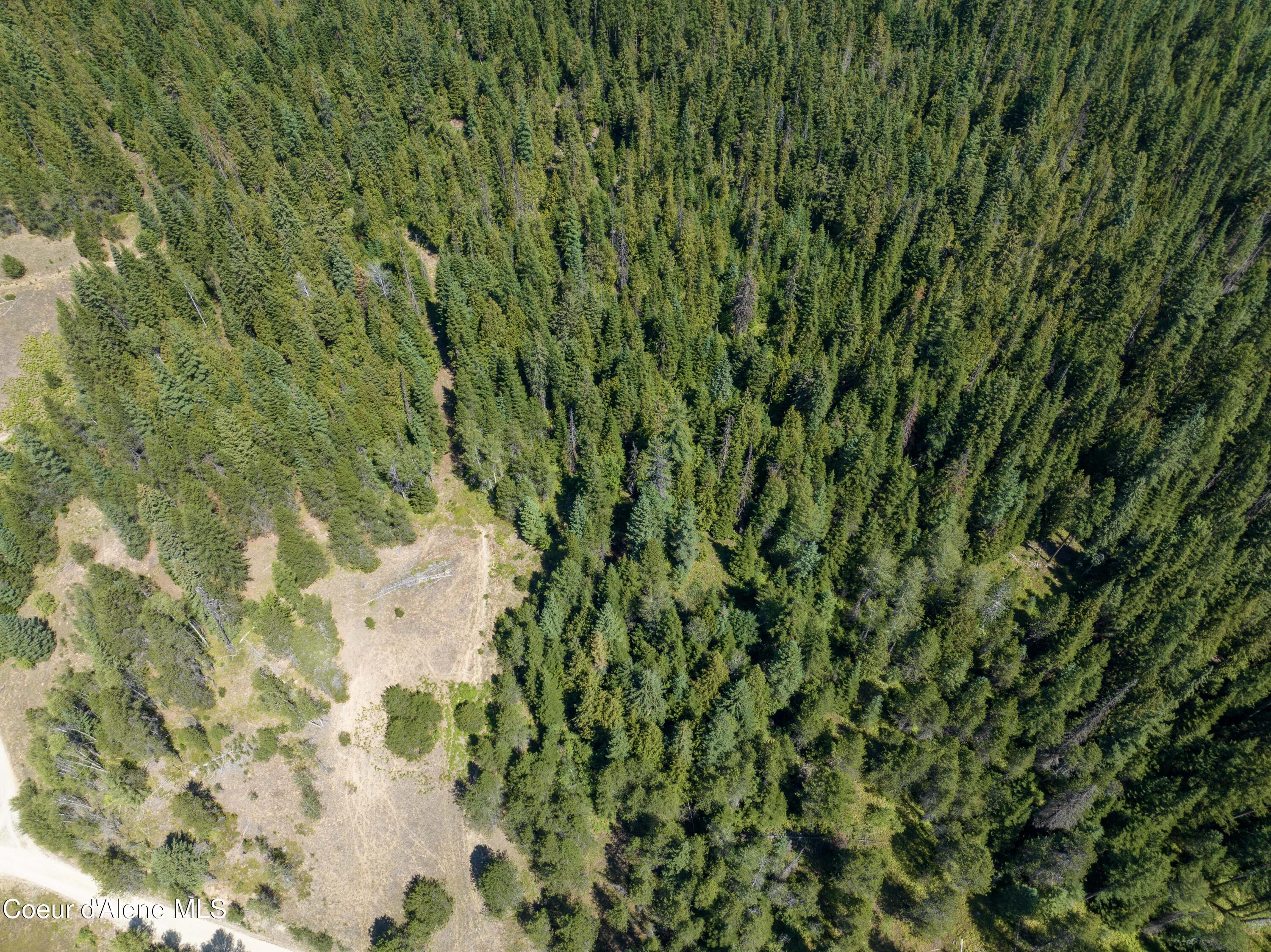 Image 4: Aerial
